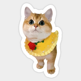 Cute face cat orange Sticker